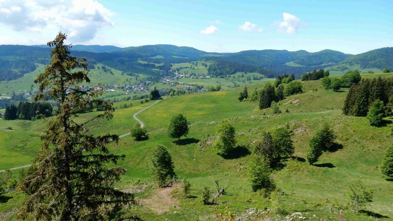 Weitblick "Entspannen - Wohlfuehlen - Aktiv Erholen" Elzach Exterior photo